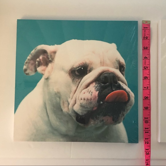 12” x 12” Dog Canvas Art Print Lot of 2 - Picture 3 of 10